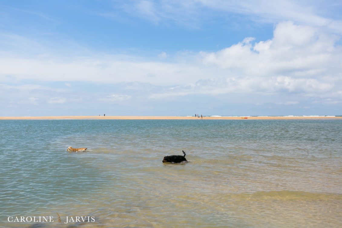 Cape_Point_Surfing_6.6.17-June 05, 201733