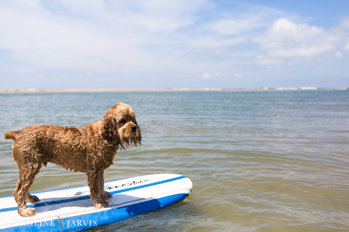 Cape_Point_Surfing_6.6.17-June 05, 2017330