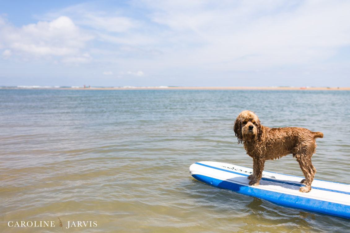 Cape_Point_Surfing_6.6.17-June 05, 2017337