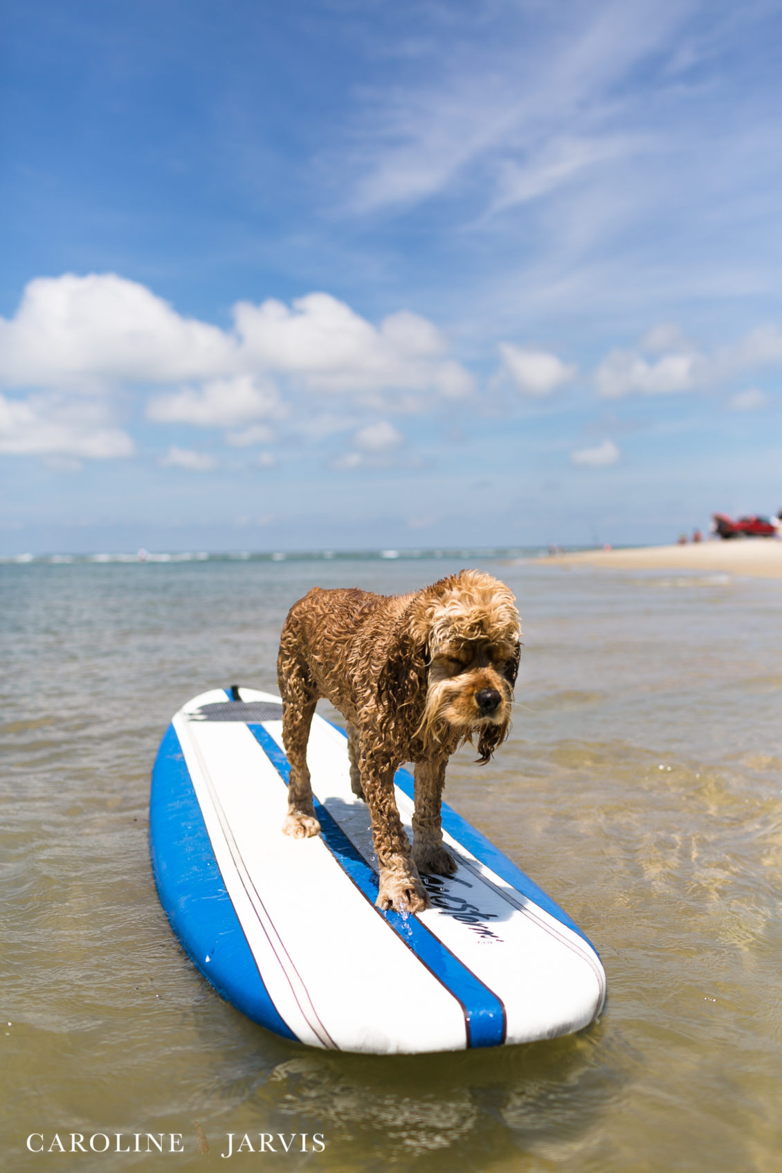 Cape_Point_Surfing_6.6.17-June 05, 2017348