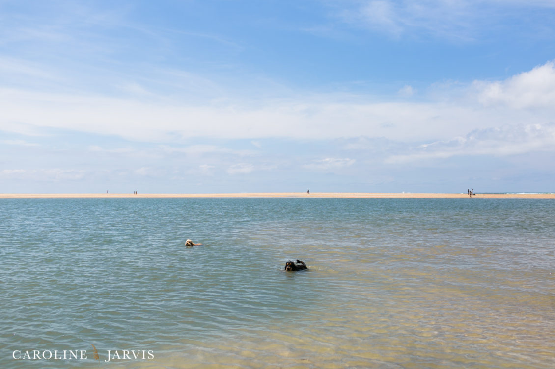 Cape_Point_Surfing_6.6.17-June 05, 201736