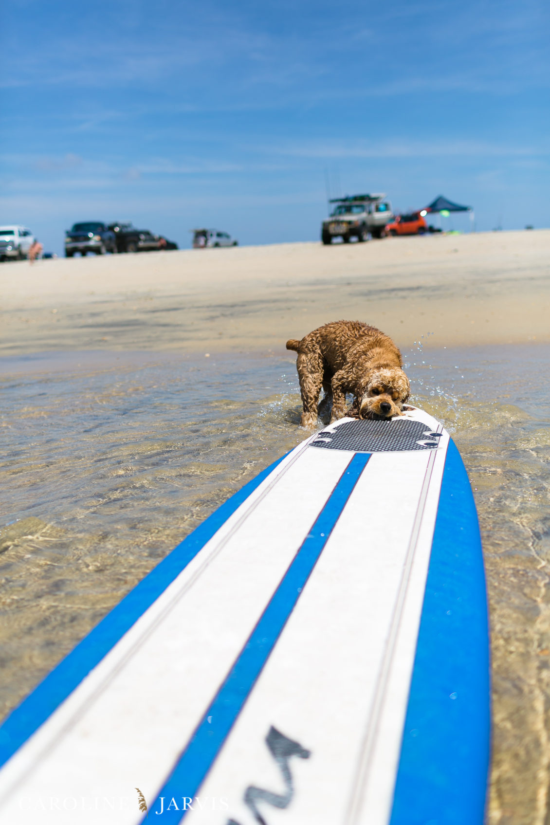 Cape_Point_Surfing_6.6.17-June 05, 2017376