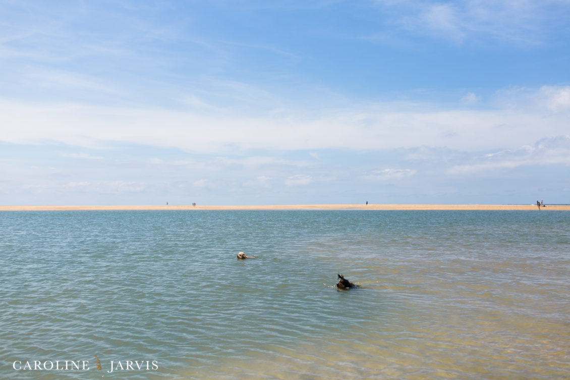 Cape_Point_Surfing_6.6.17-June 05, 201738