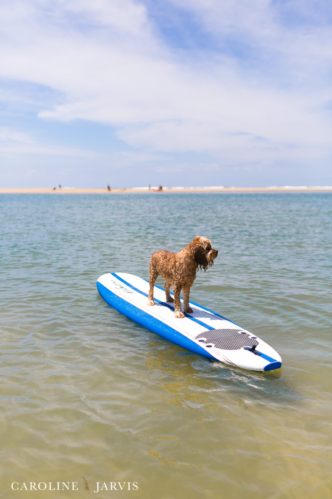 Cape_Point_Surfing_6.6.17-June 05, 2017438