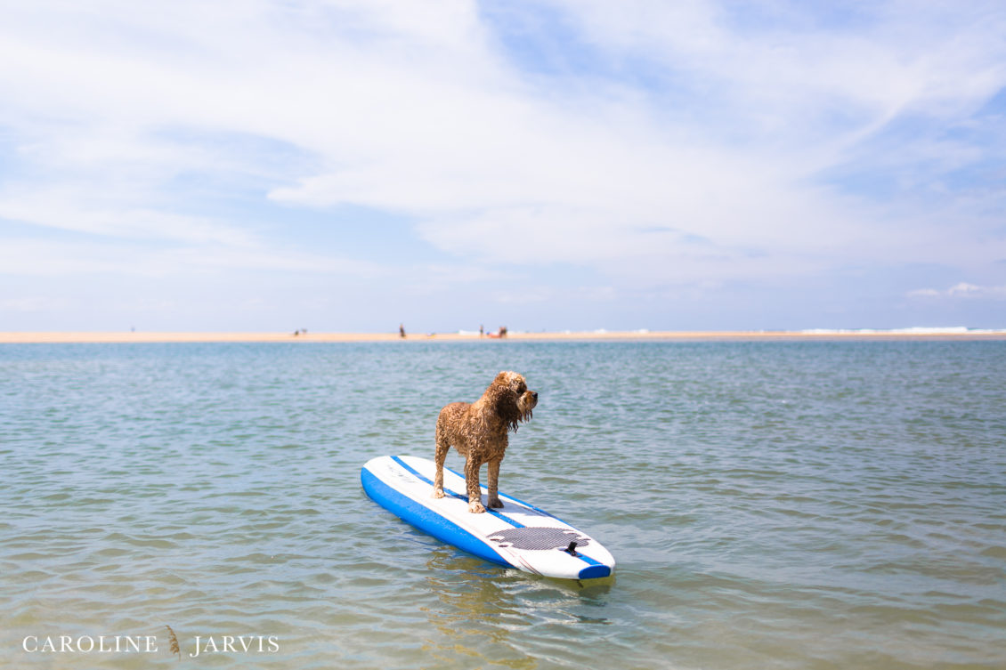 Cape_Point_Surfing_6.6.17-June 05, 2017441