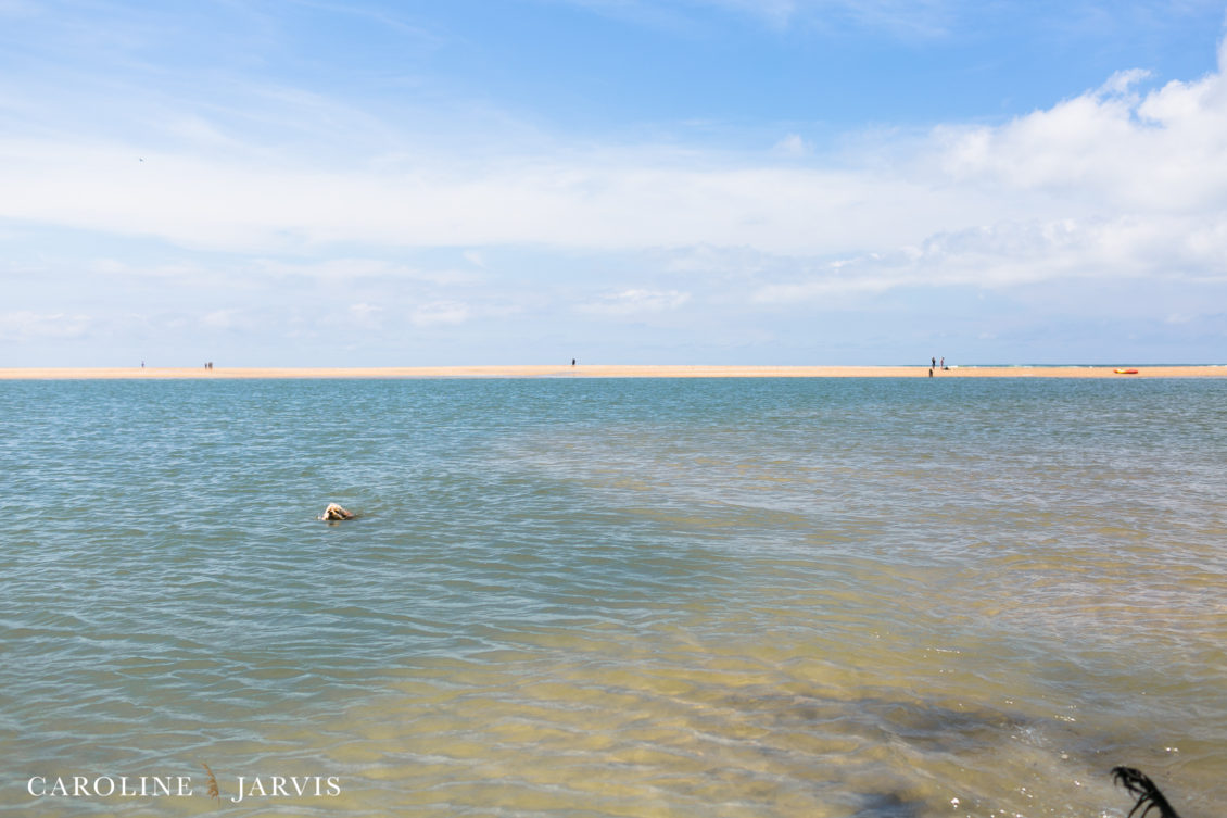 Cape_Point_Surfing_6.6.17-June 05, 201745