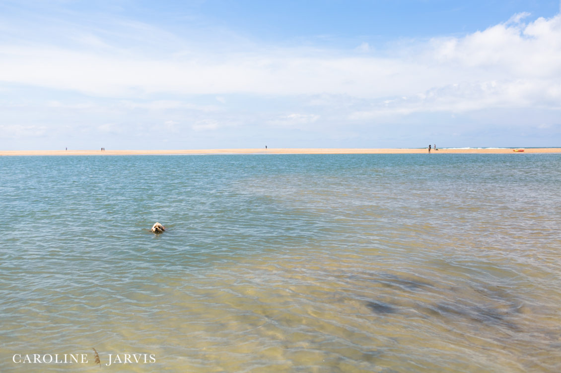 Cape_Point_Surfing_6.6.17-June 05, 201750