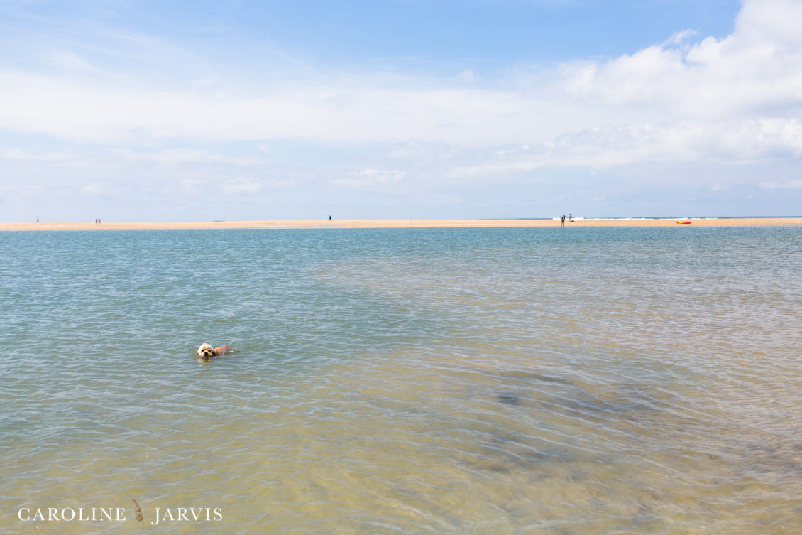 Cape_Point_Surfing_6.6.17-June 05, 201752