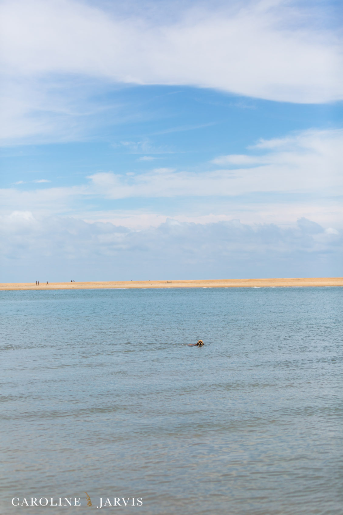 Cape_Point_Surfing_6.6.17-June 05, 2017550