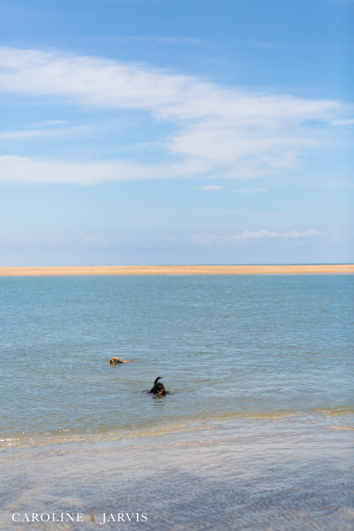 Cape_Point_Surfing_6.6.17-June 05, 2017575
