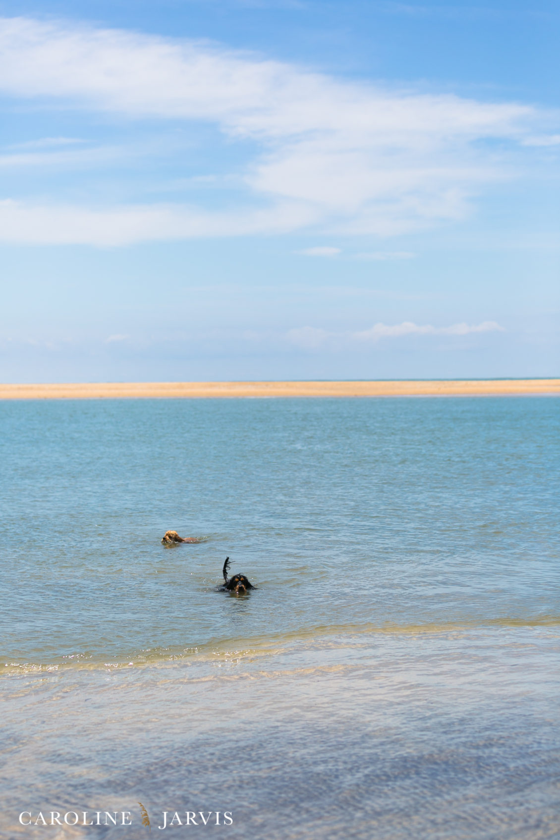 Cape_Point_Surfing_6.6.17-June 05, 2017576