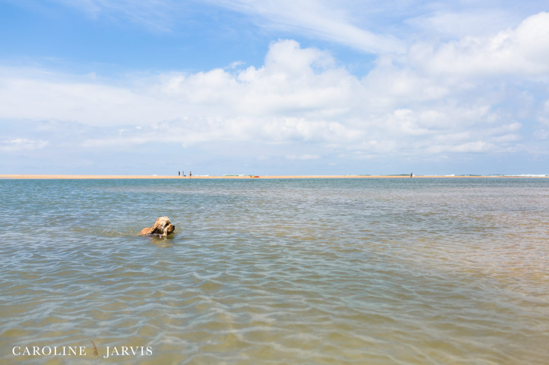 Cape_Point_Surfing_6.6.17-June 05, 201763
