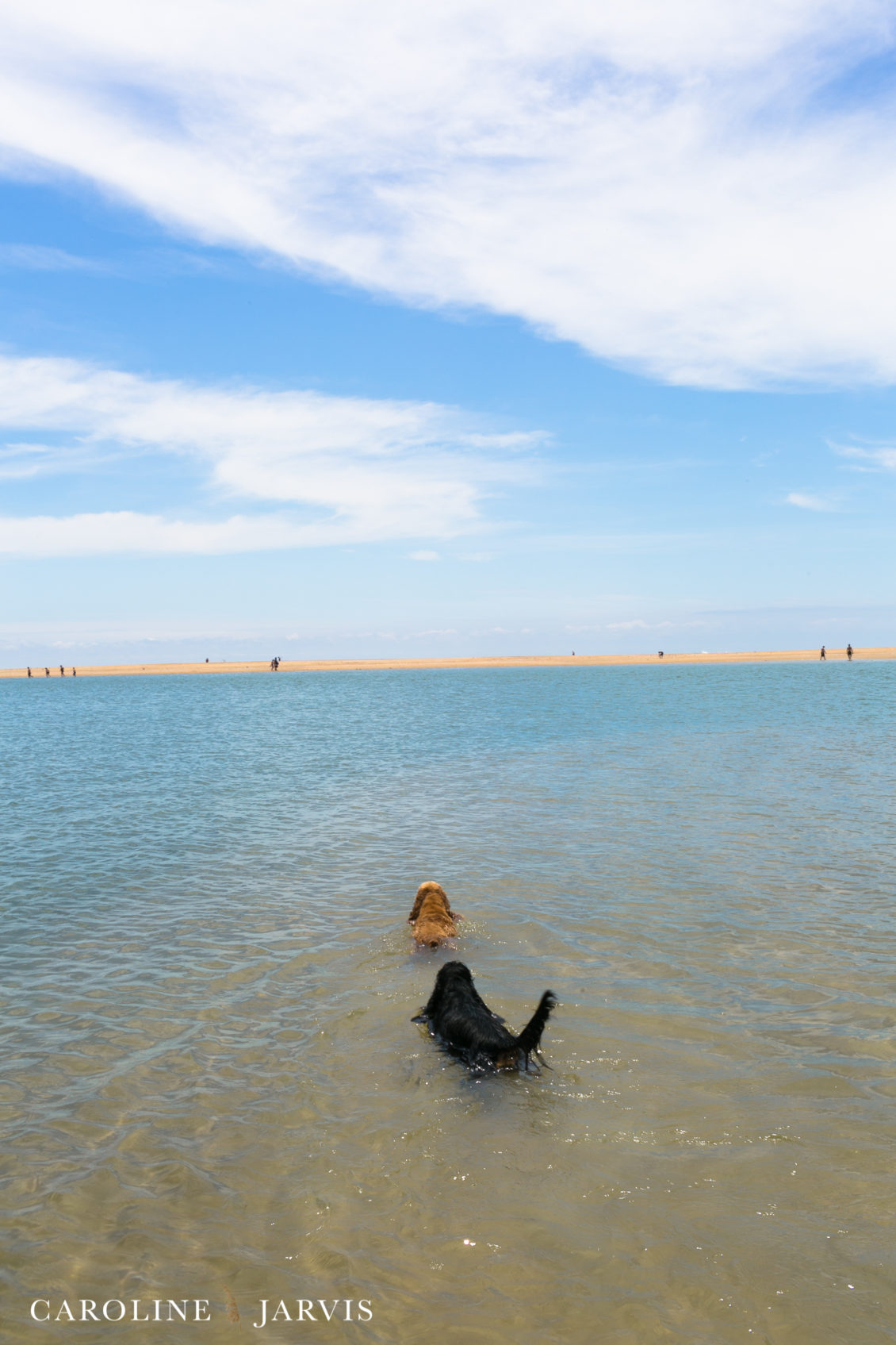 Cape_Point_Surfing_6.6.17-June 05, 2017660