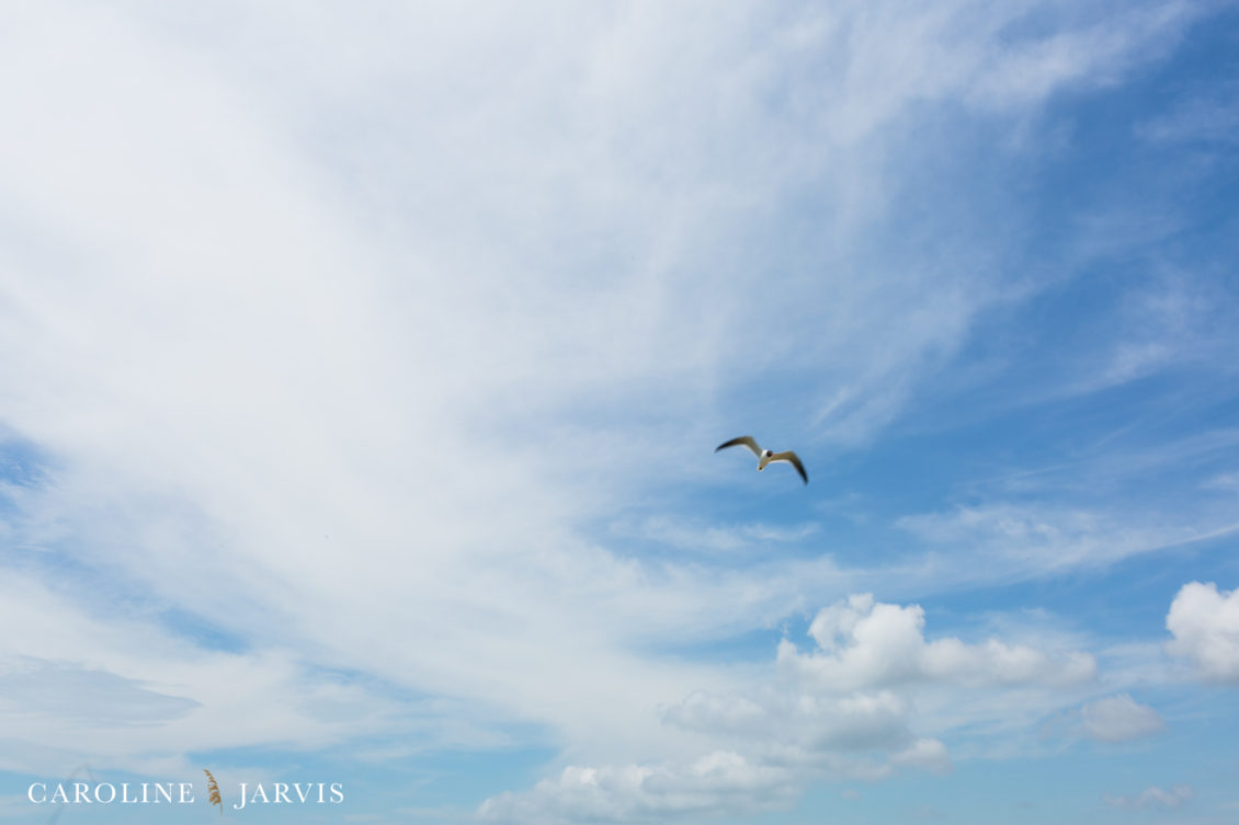 Cape_Point_Surfing_6.6.17-June 05, 2017671