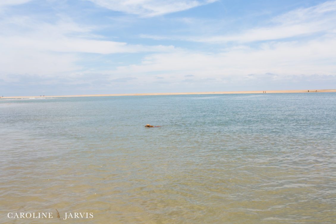 Cape_Point_Surfing_6.6.17-June 05, 2017679