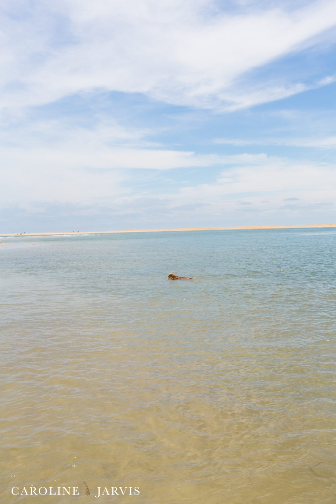 Cape_Point_Surfing_6.6.17-June 05, 2017681