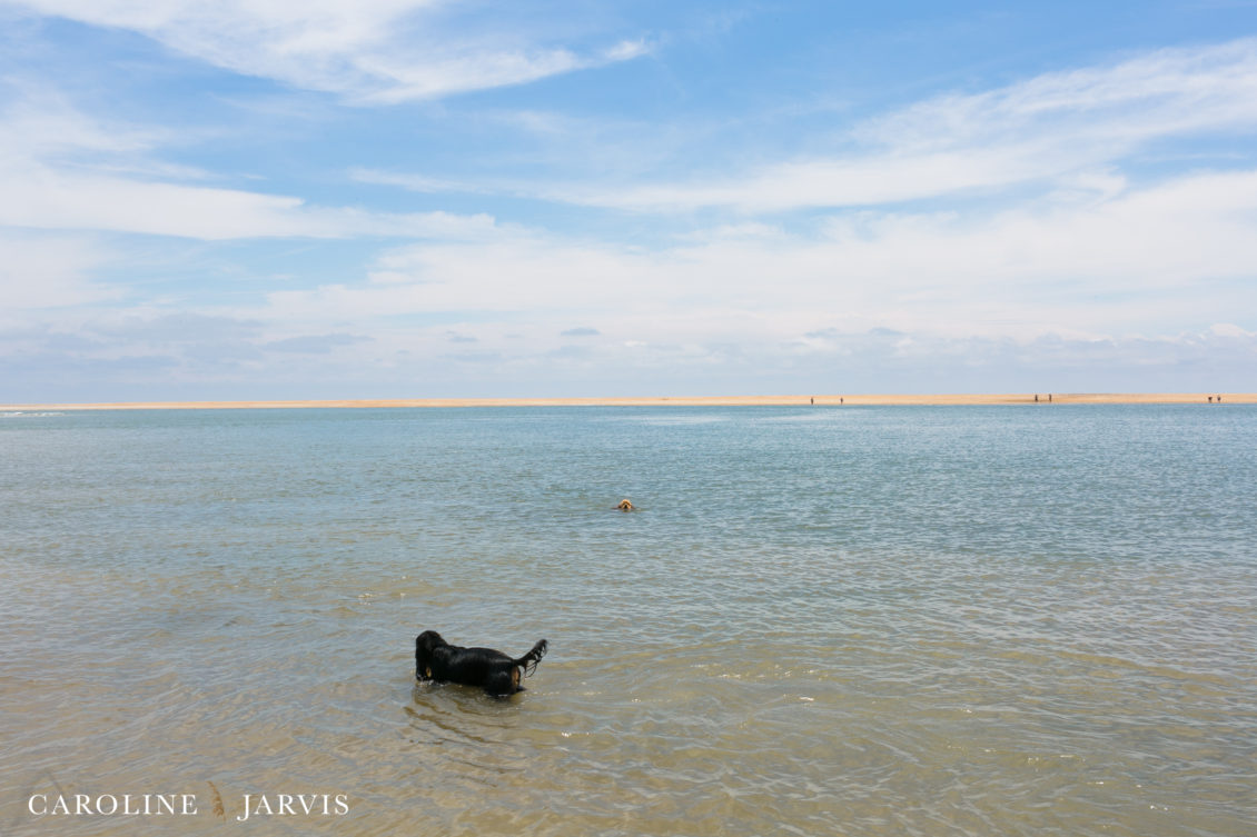 Cape_Point_Surfing_6.6.17-June 05, 2017687