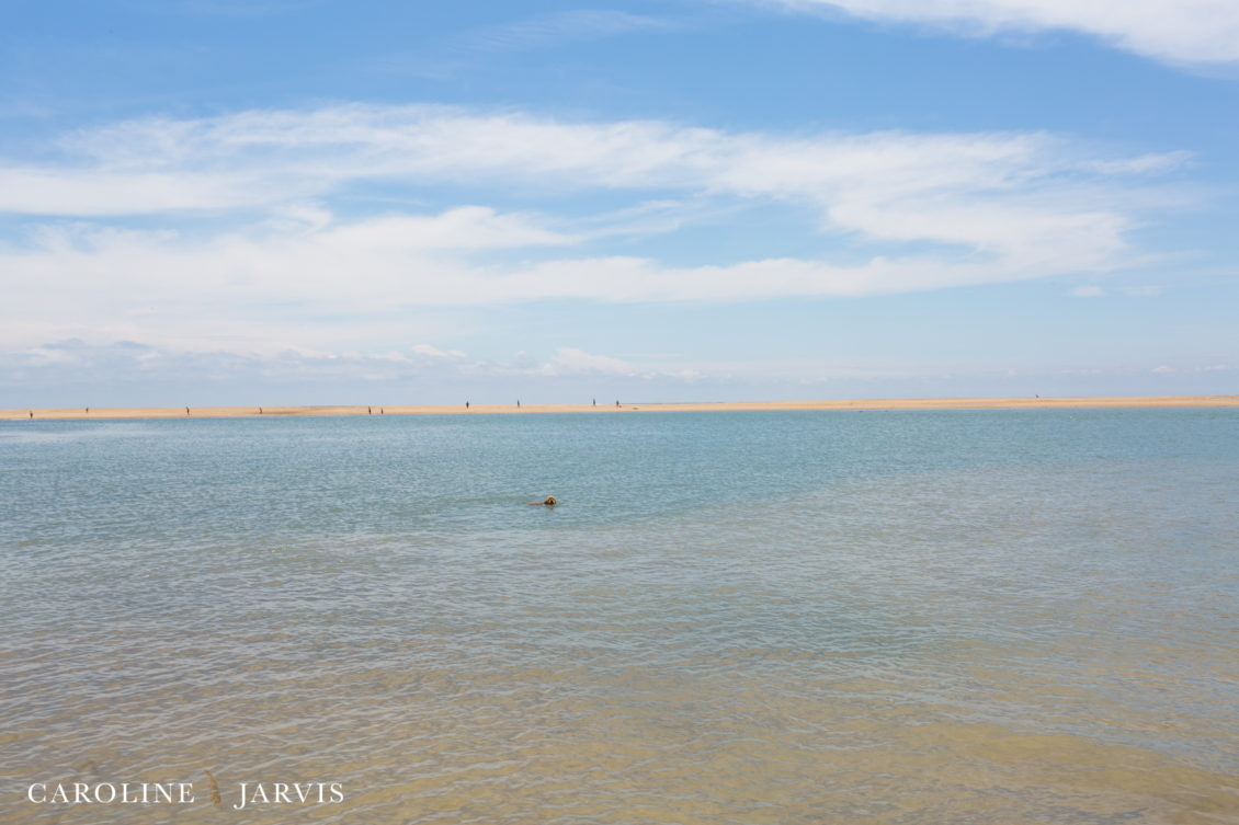 Cape_Point_Surfing_6.6.17-June 05, 2017694