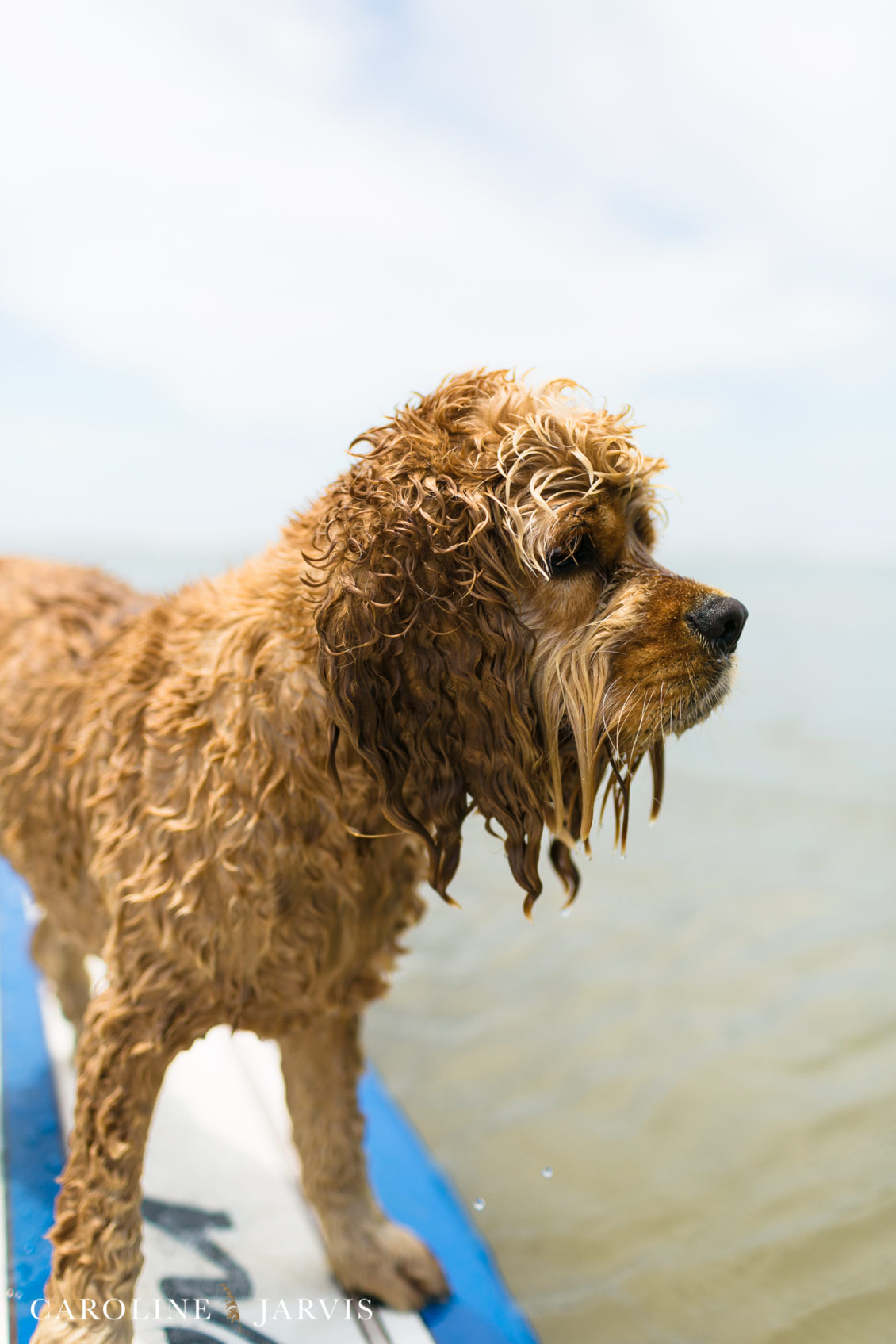 Cape_Point_Surfing_6.6.17-June 05, 2017718