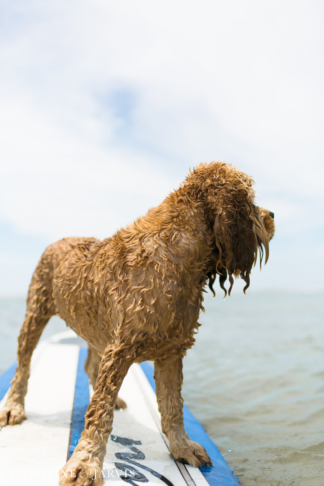 Cape_Point_Surfing_6.6.17-June 05, 2017721