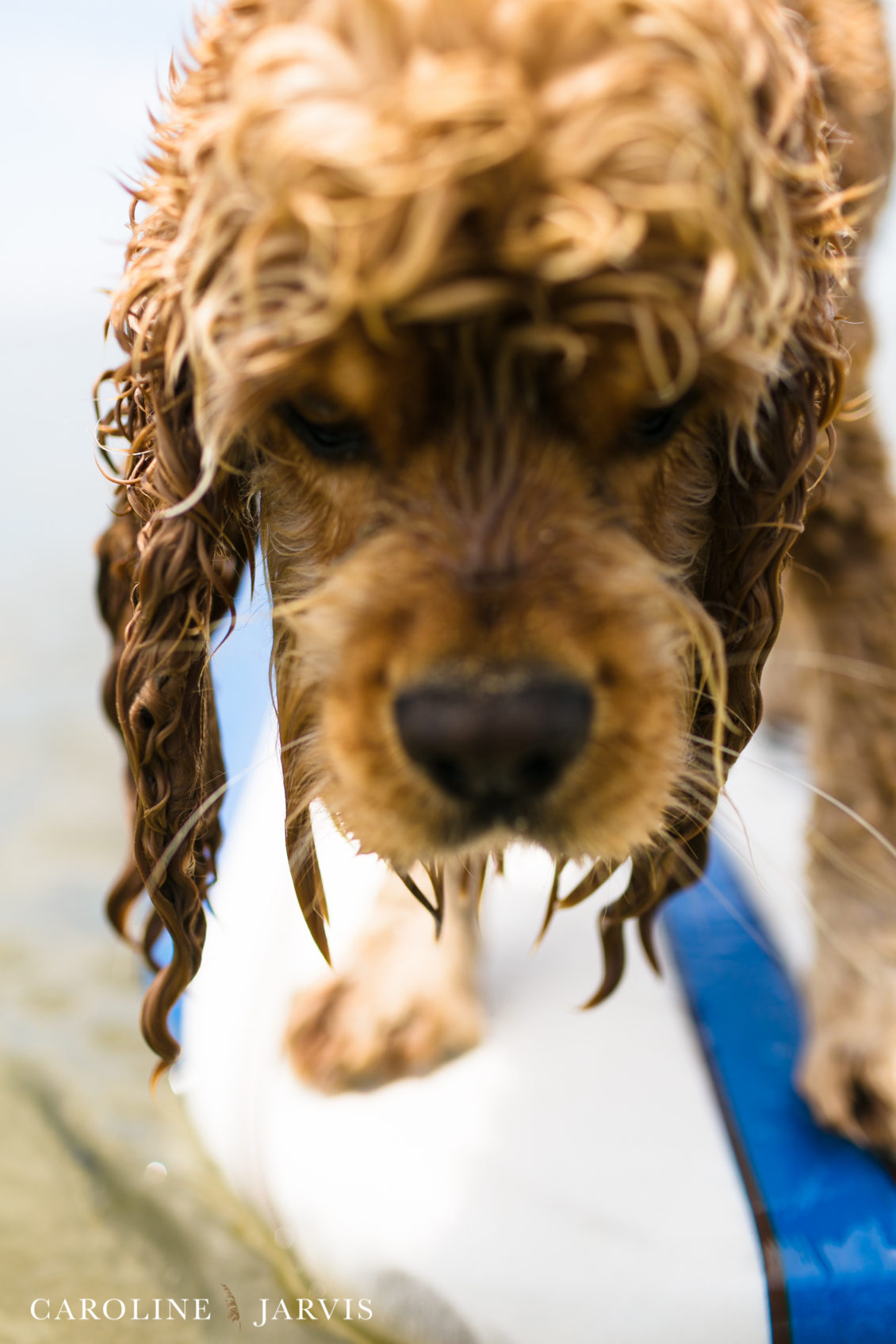Cape_Point_Surfing_6.6.17-June 05, 2017757