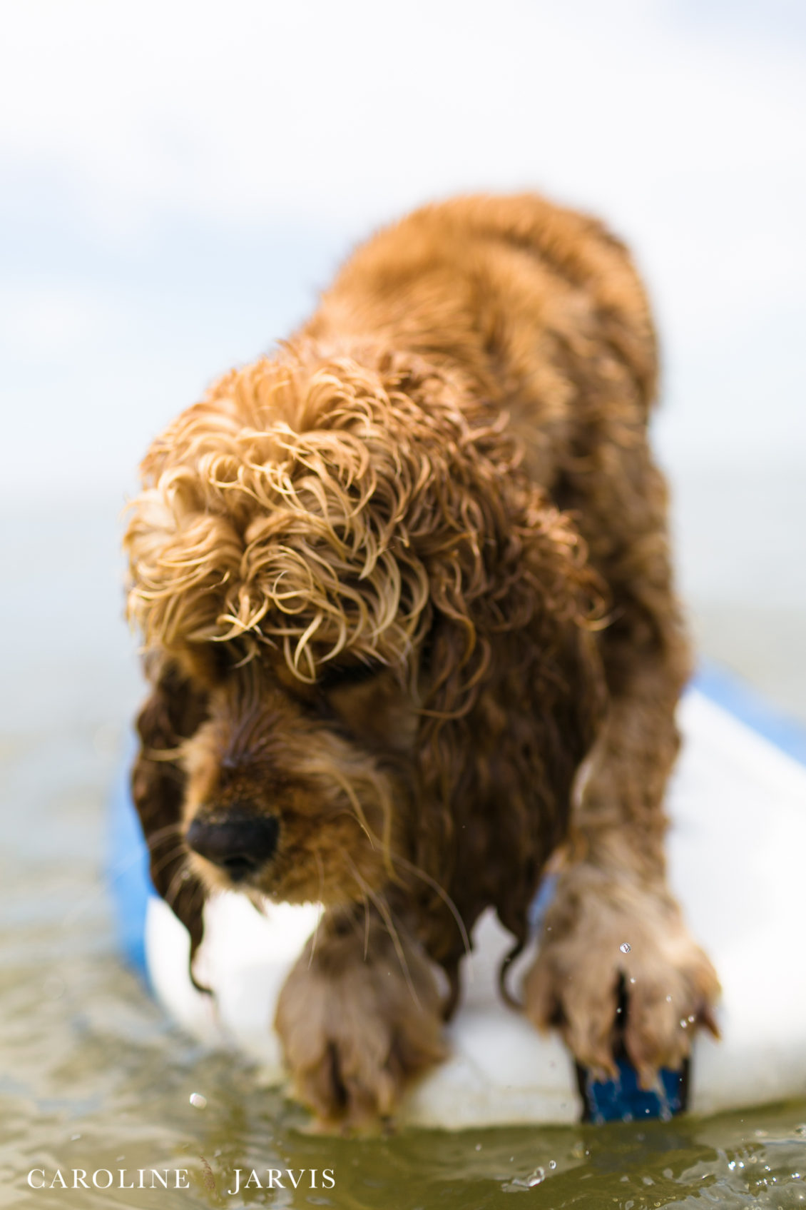 Cape_Point_Surfing_6.6.17-June 05, 2017758