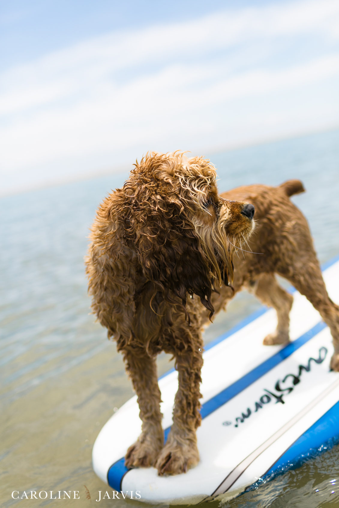 Cape_Point_Surfing_6.6.17-June 05, 2017779