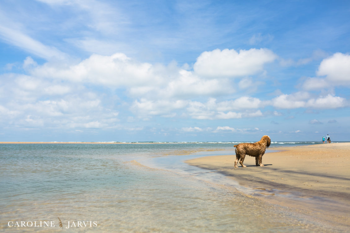 Cape_Point_Surfing_6.6.17-June 05, 201796