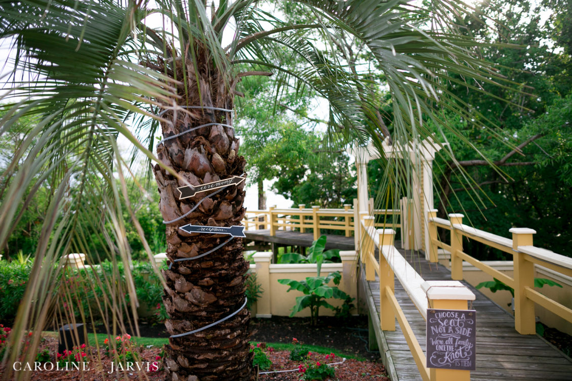 Grand Ritz Palm Wedding by Caroline Jarvis Photography - Jacob & Megan 2-May 28, 2017659