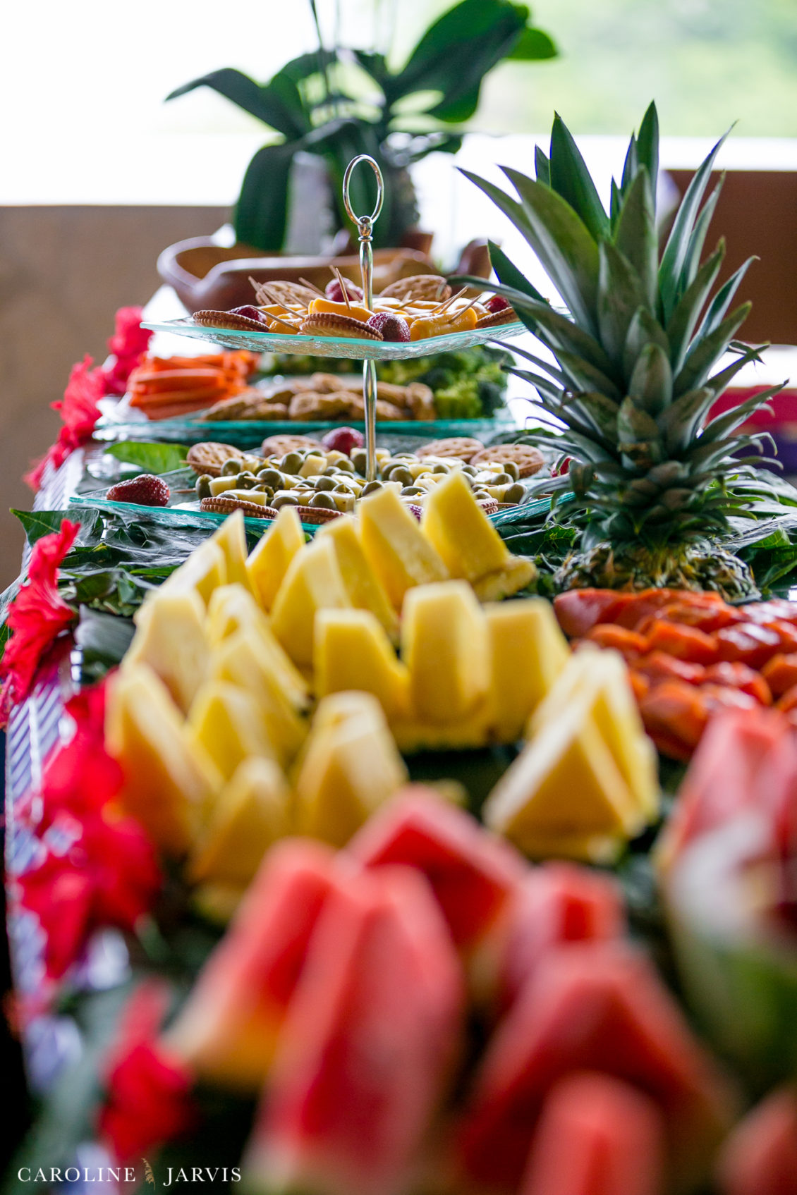 Costa Rica Wedding by Caroline Jarvis Photography - Justin & Danette1256