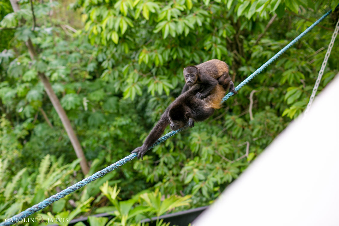 Costa Rica Wedding by Caroline Jarvis Photography - Justin & Danette1415