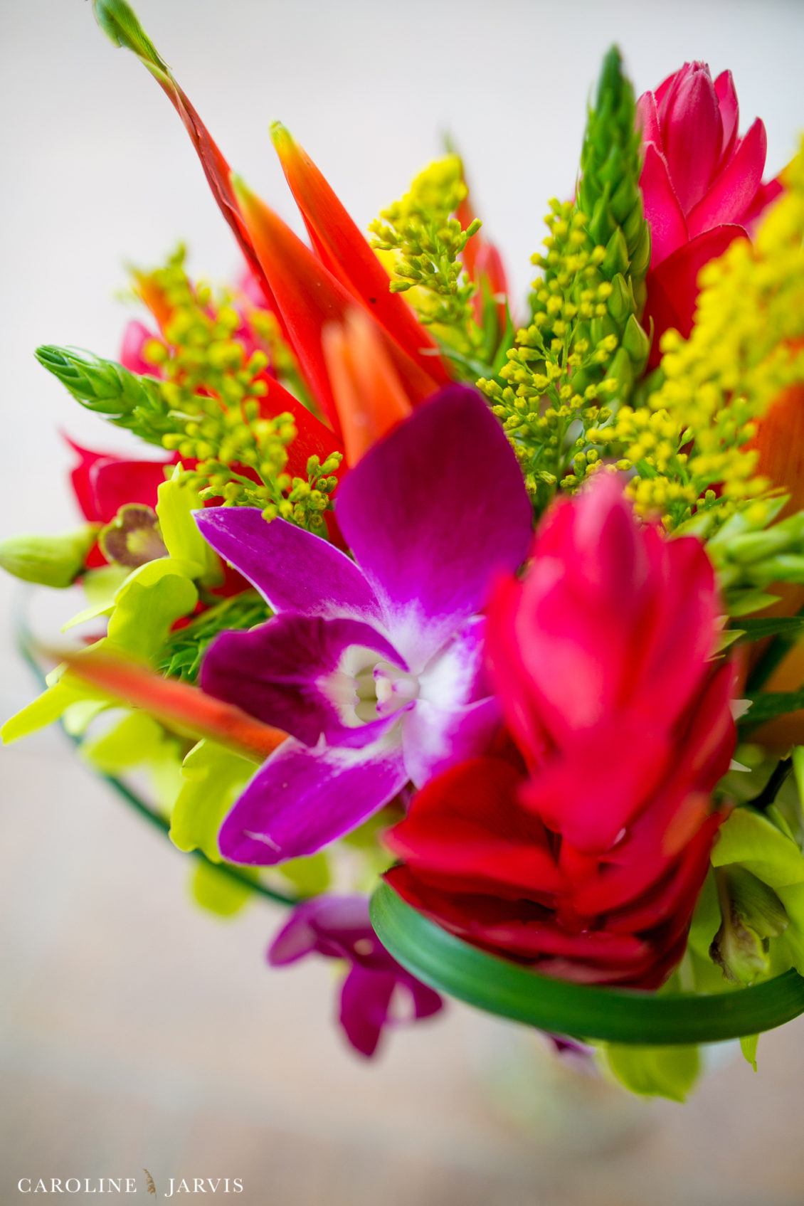 Costa Rica Wedding by Caroline Jarvis Photography - Justin & Danette1826