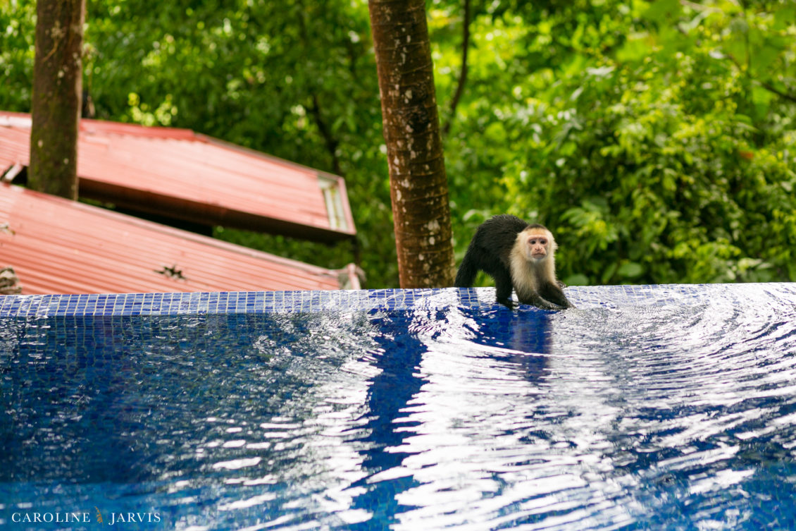 Costa Rica Wedding by Caroline Jarvis Photography - Justin & Danette2985