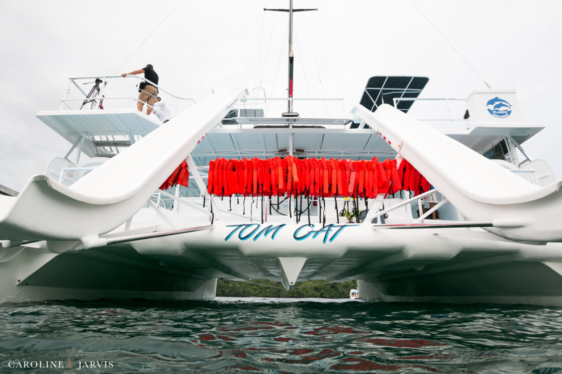 Costa Rica Wedding by Caroline Jarvis Photography - Justin & Danette4584