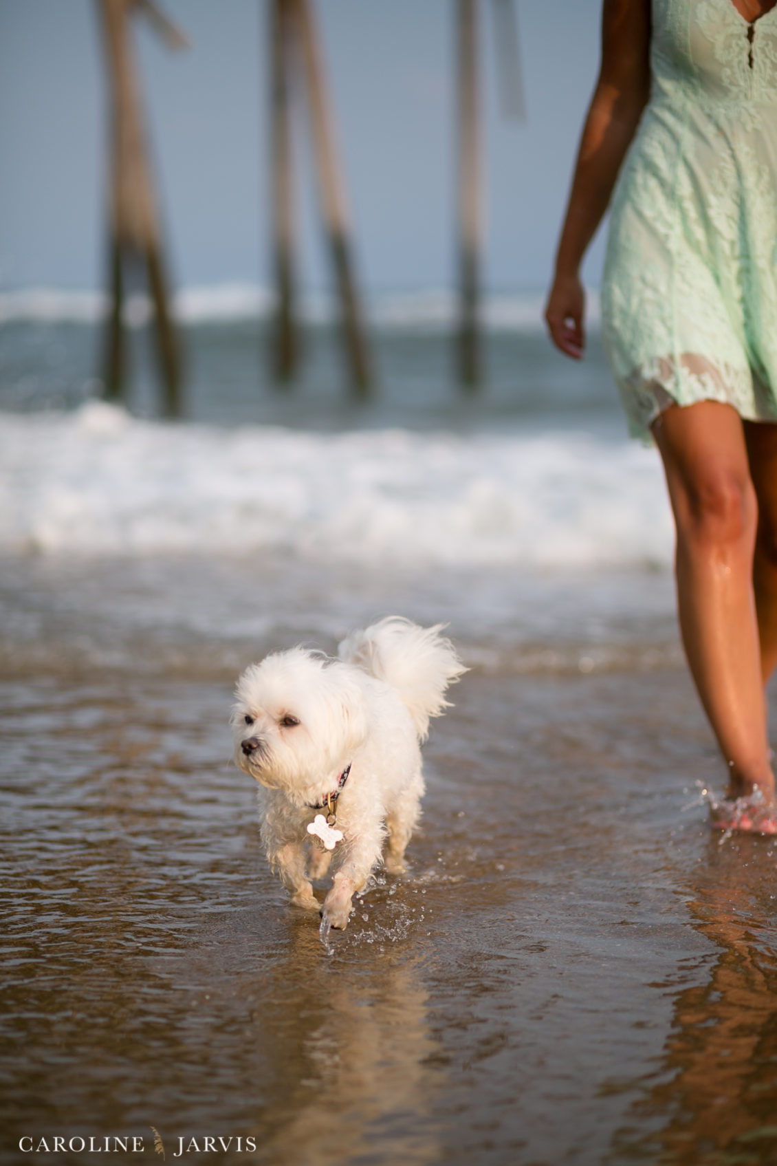 Frisco Pier Family Portraits by Caroline Jarvis Photography - Hale Family0559