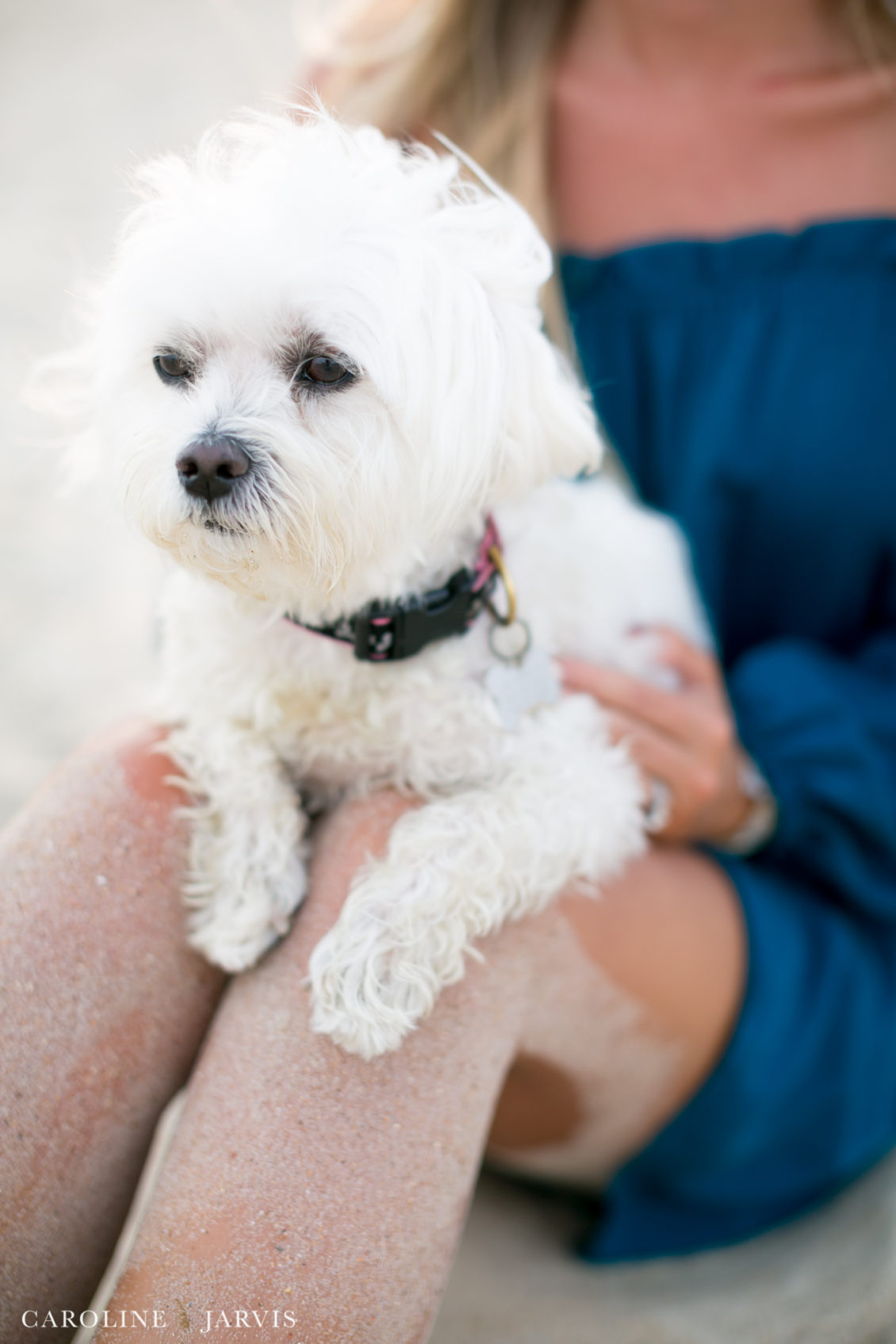 Frisco Pier Family Portraits by Caroline Jarvis Photography - Hale Family0773