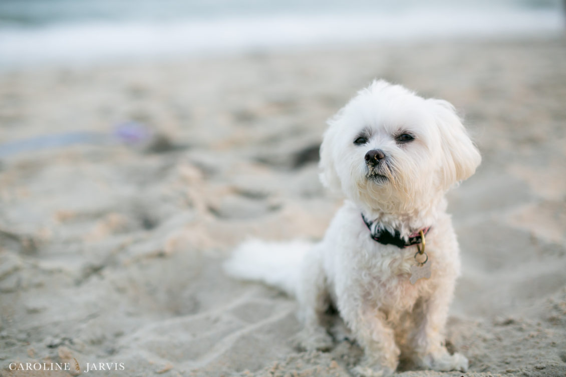 Frisco Pier Family Portraits by Caroline Jarvis Photography - Hale Family0828