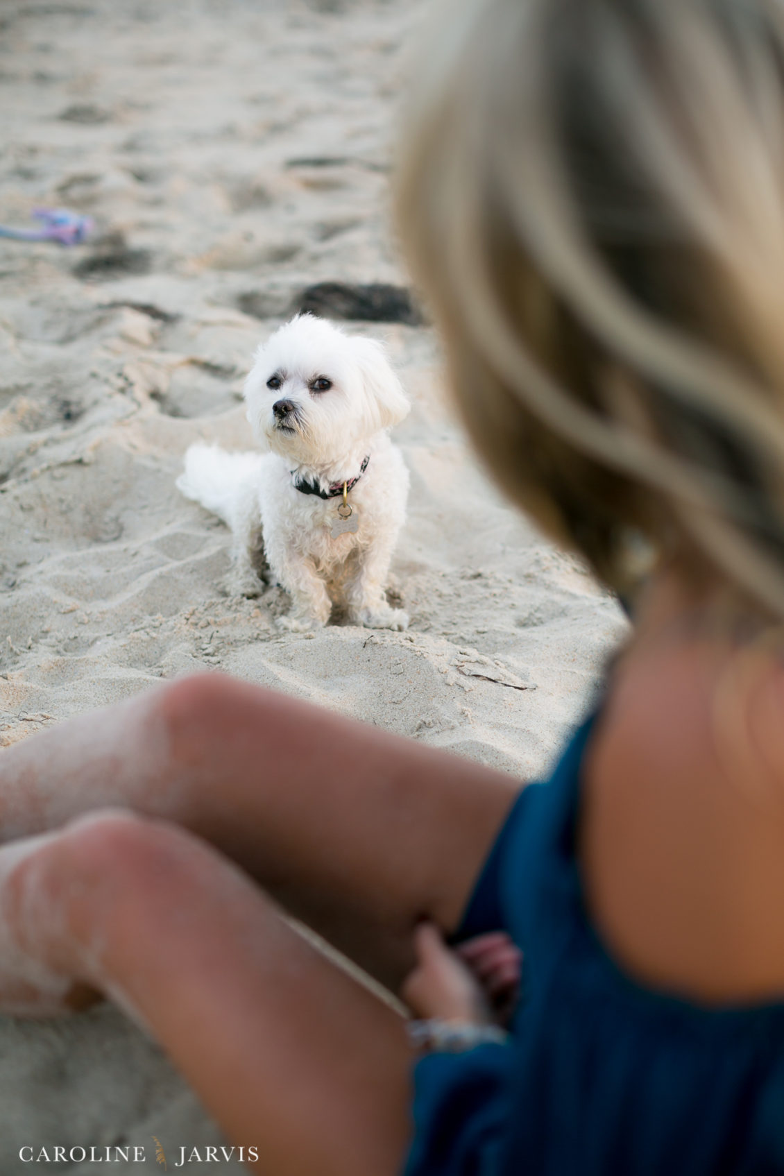 Frisco Pier Family Portraits by Caroline Jarvis Photography - Hale Family0847