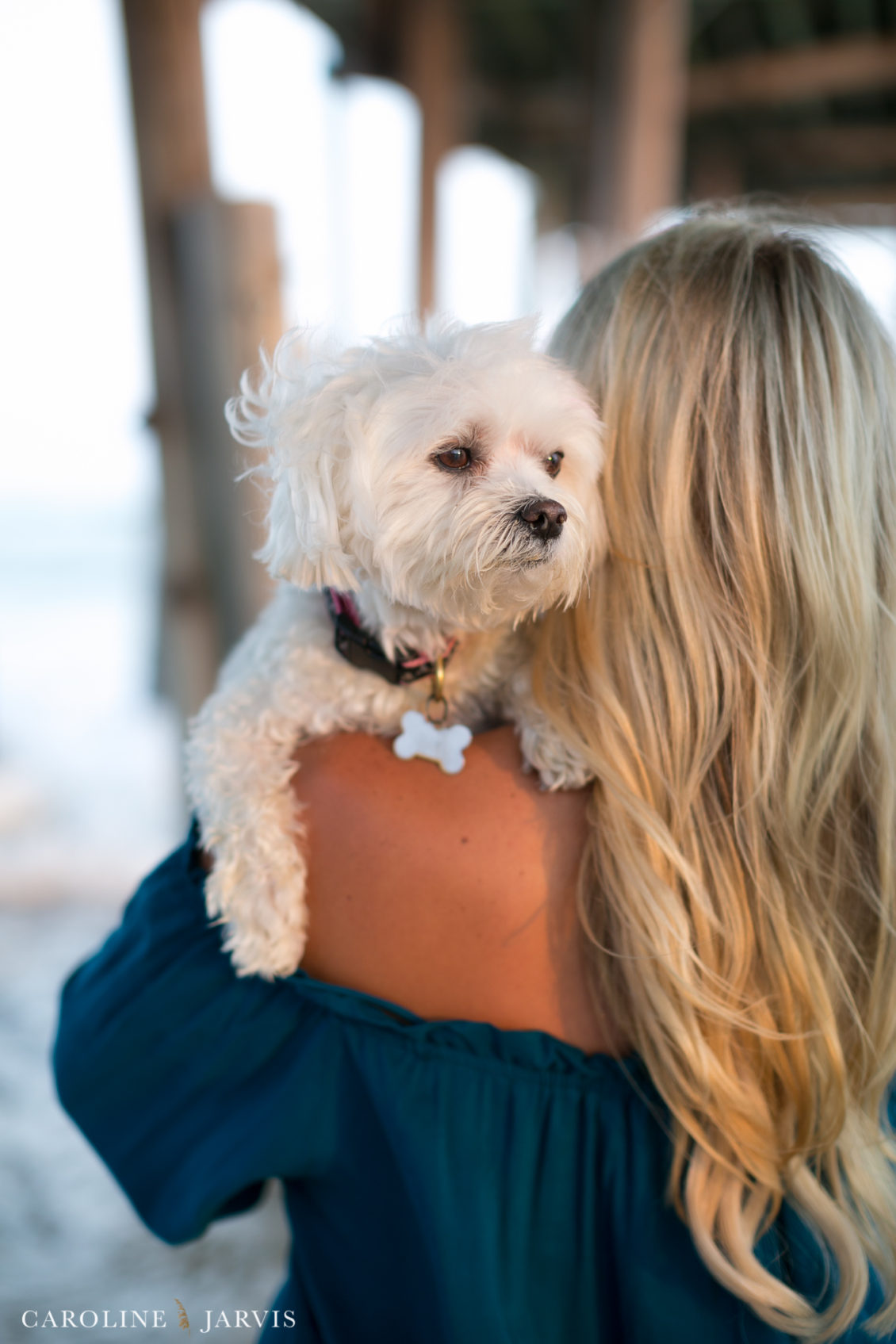 Frisco Pier Family Portraits by Caroline Jarvis Photography - Hale Family1090