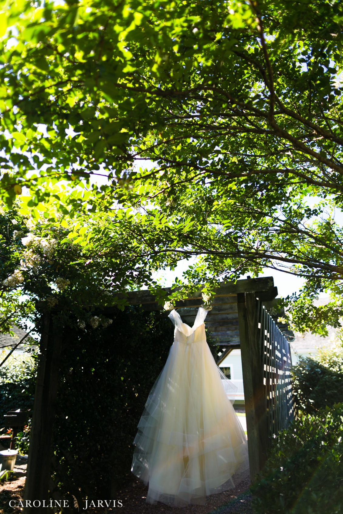 Koru Village Wedding by Caroline Jarvis Photography - Denny Wedding 00677