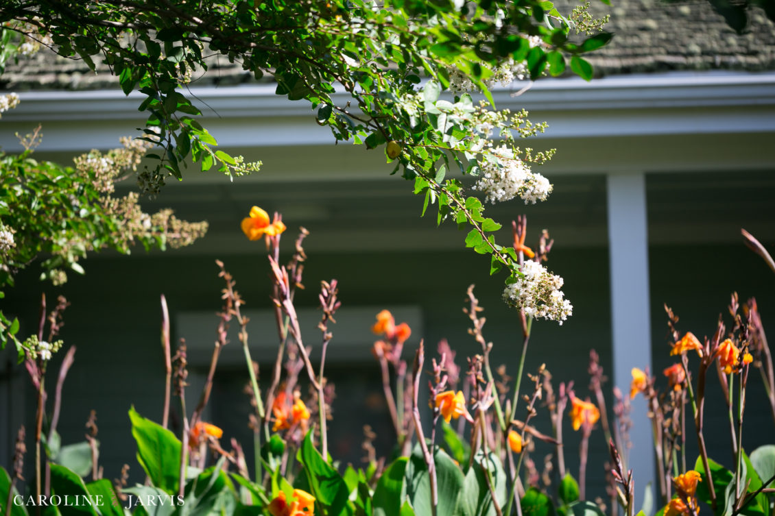 Koru Village Wedding by Caroline Jarvis Photography - Denny Wedding 00684