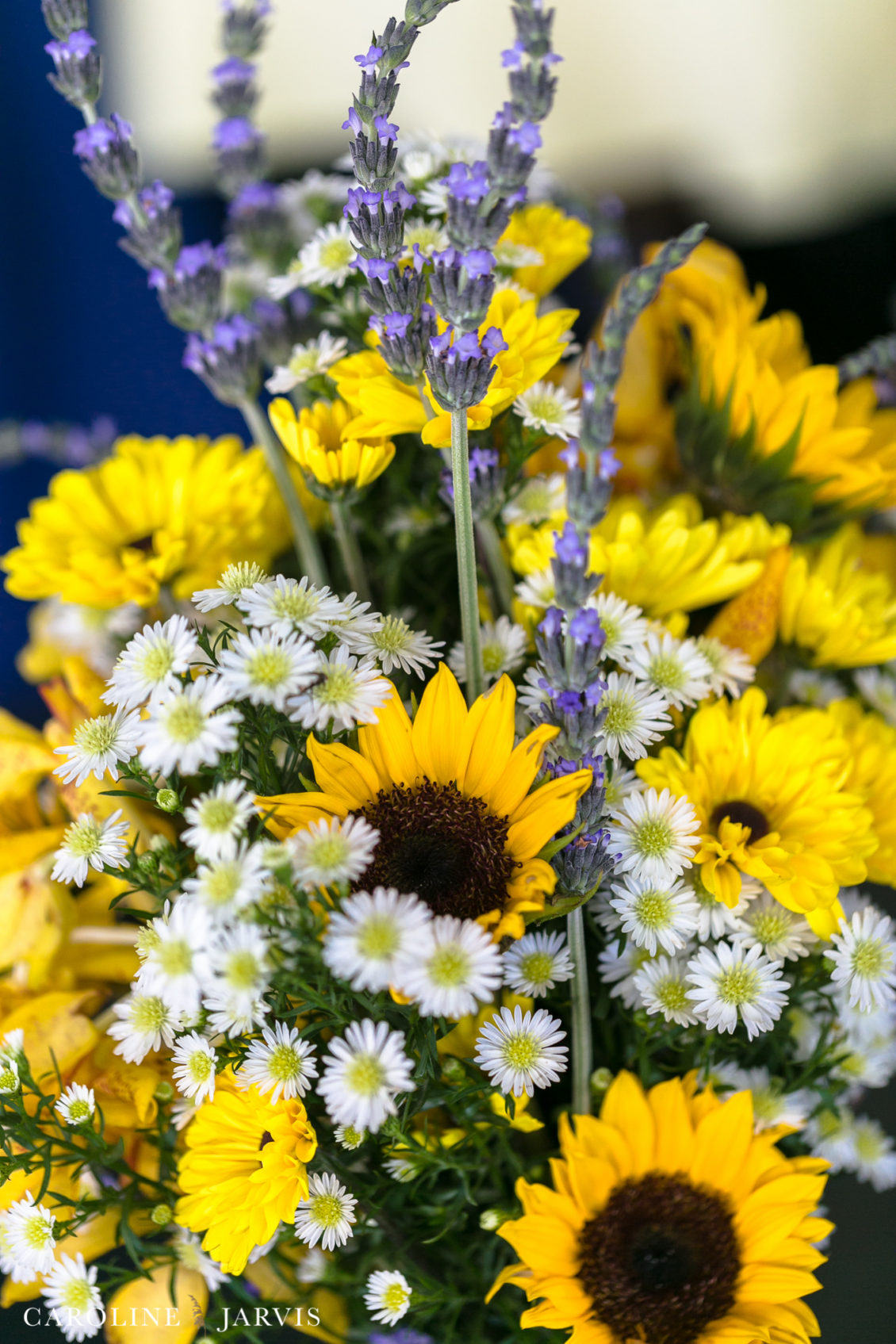 Koru Village Wedding by Caroline Jarvis Photography - Denny Wedding 04107