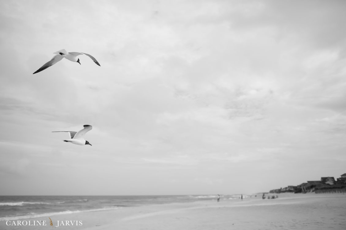 Koru Village Wedding by Caroline Jarvis Photography - Denny Wedding 05279