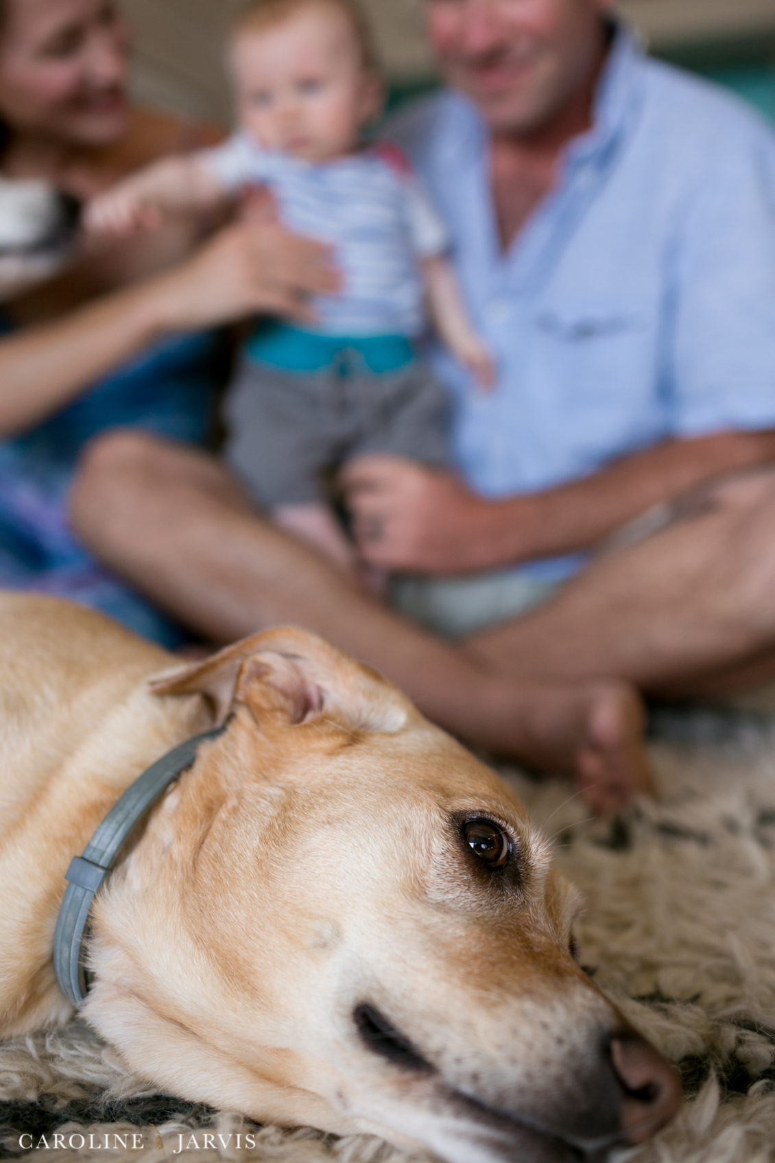 Outer Banks Family Portraits by Caroline Jarvis Photography2523