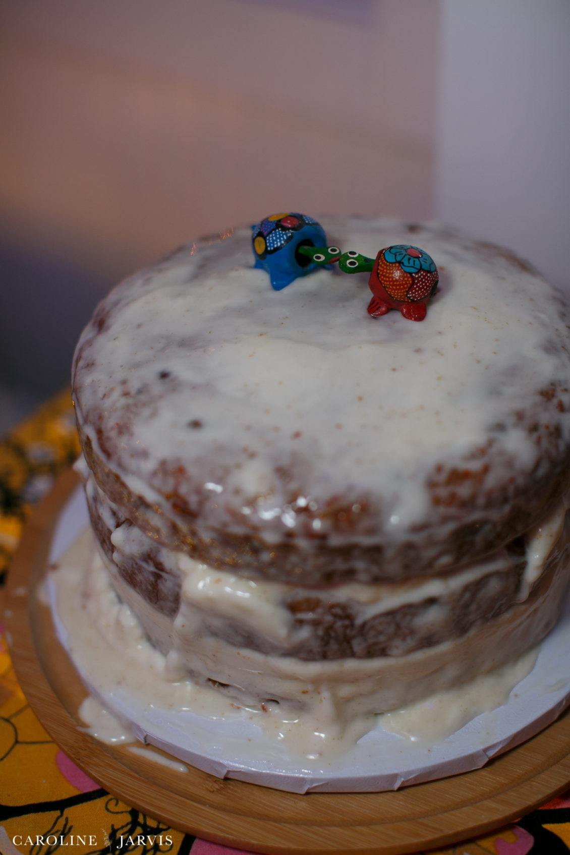 Koru Village Wedding by Caroline Jarvis Photography - O'Sullivan_Wedding_03098