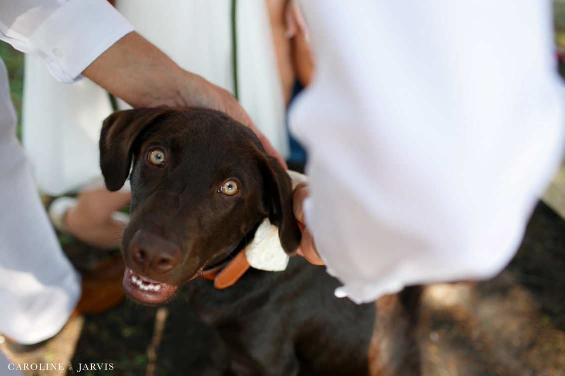 Ocracoke Island Wedding by Caroline Jarvis Photography - Aiken_Wedding1_01908