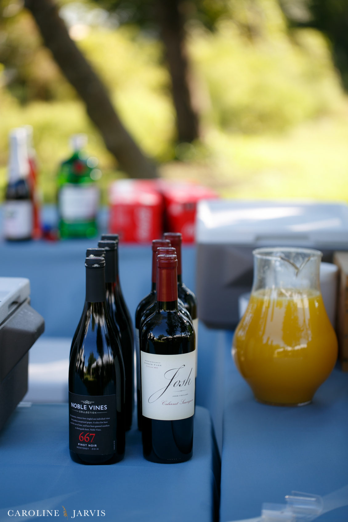 Ocracoke Island Wedding by Caroline Jarvis Photography - Aiken_Wedding1_02240