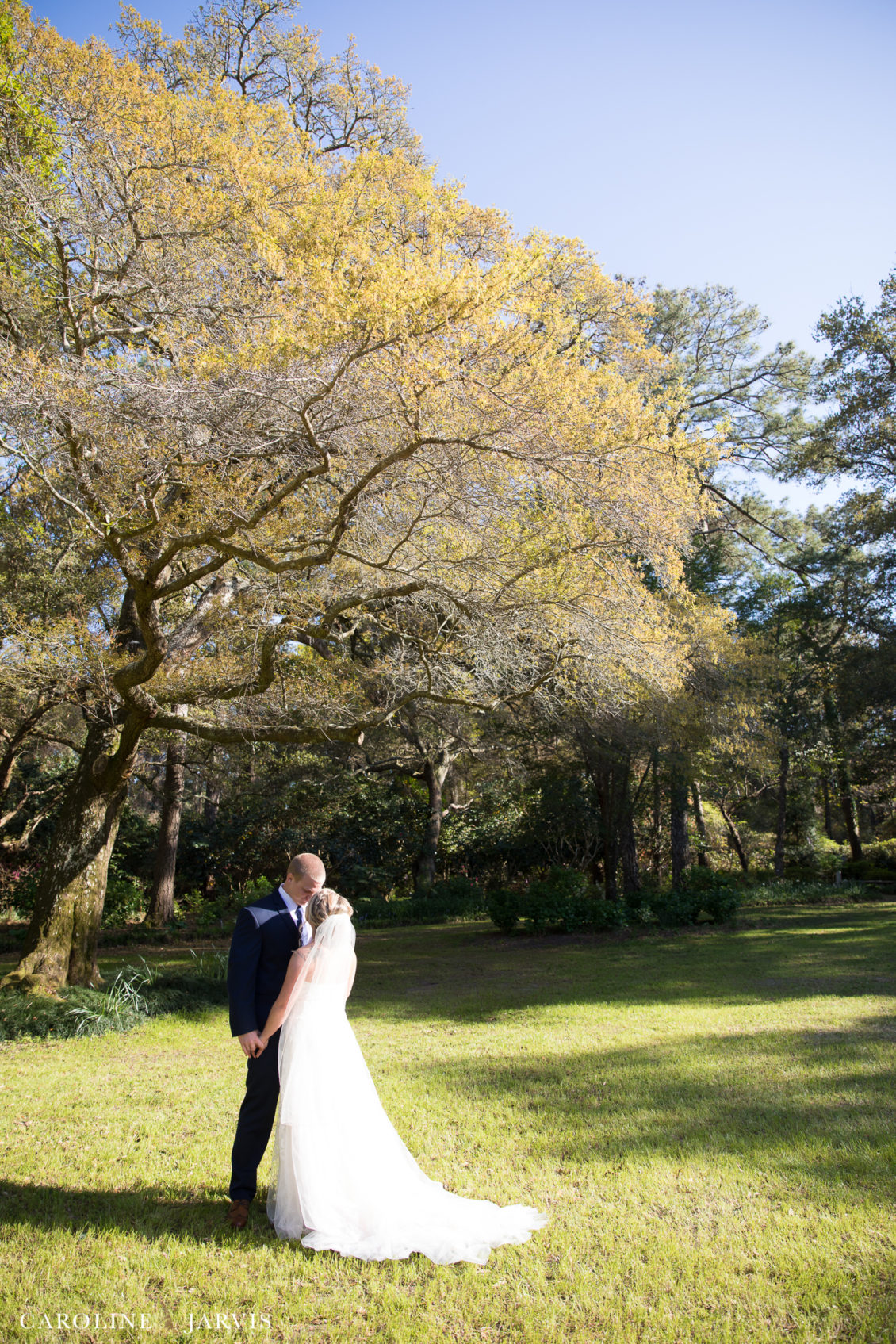Elizabethan_Gardens_Wedding_by_Caroline_Jarvis_Photography_2-April 21, 2018334