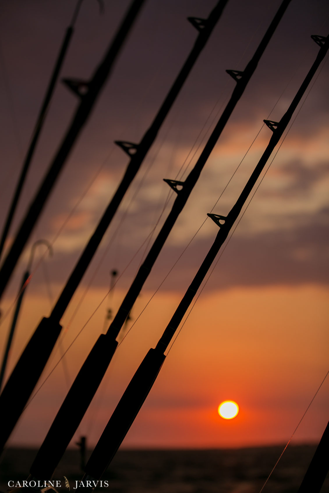 Offshore_Fishing_Sea_Creature_June7_2018-June 07, 2018123