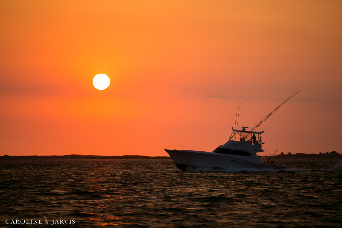 Offshore_Fishing_Sea_Creature_June7_2018-June 07, 2018130